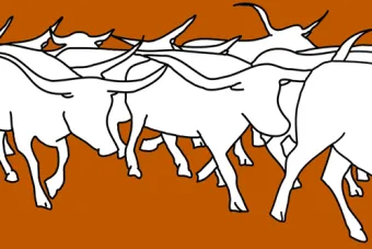 UT HERD graphic